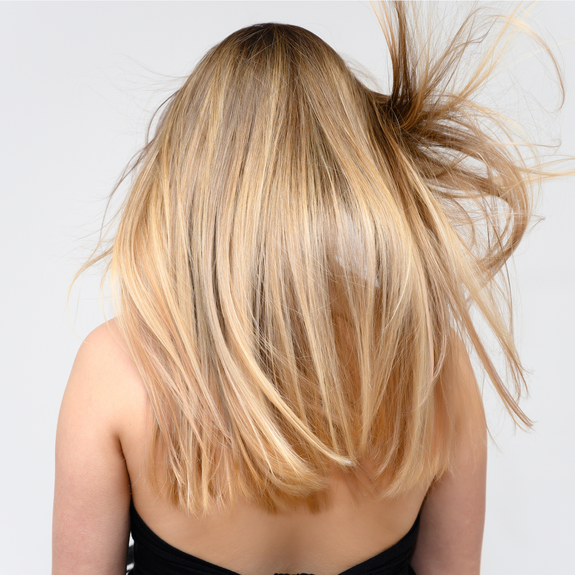 Pure Blends Blonde Collection
