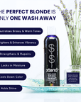 Toning Shampoo