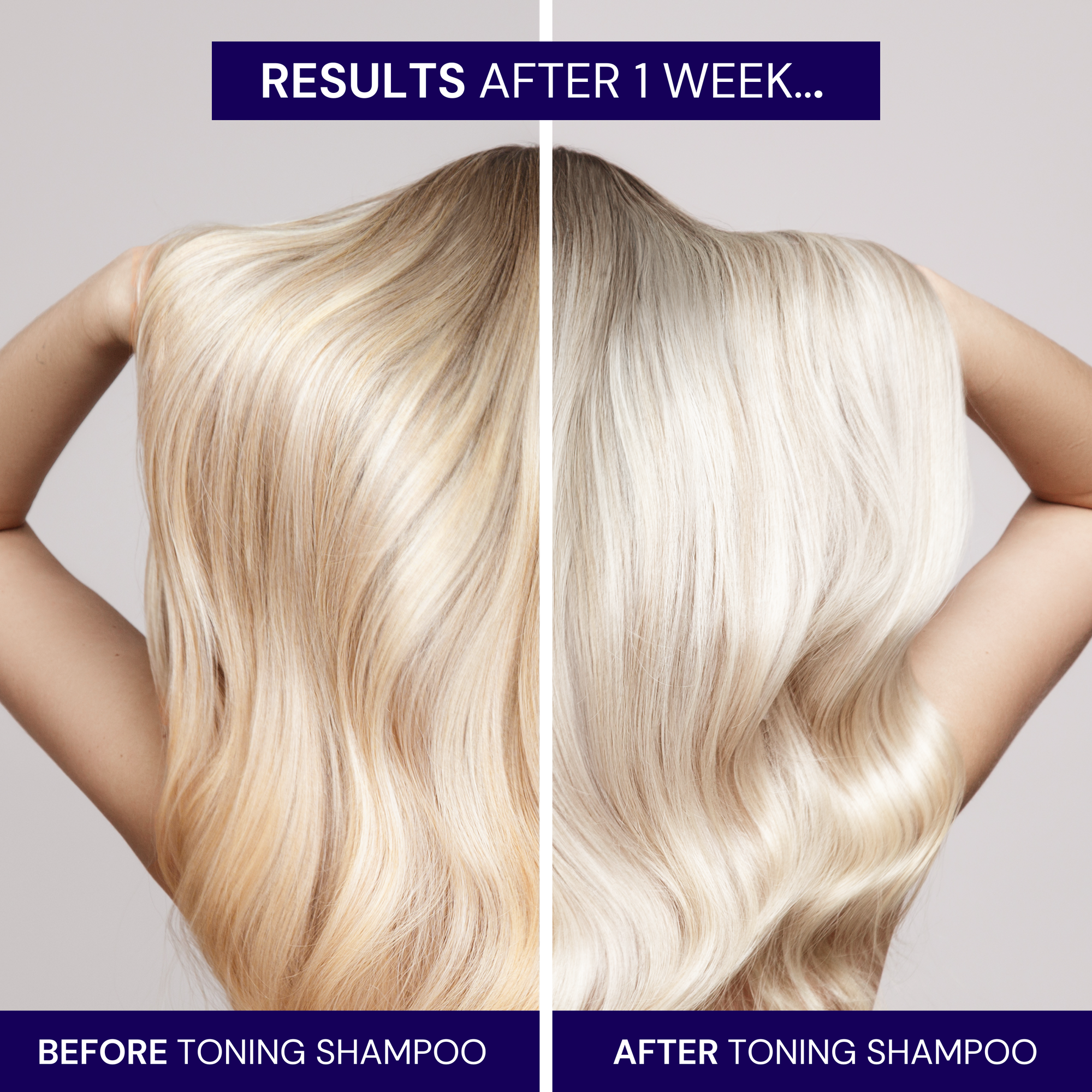 Toning Shampoo
