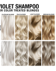 Violet Hydrating Color Depositing Shampoo