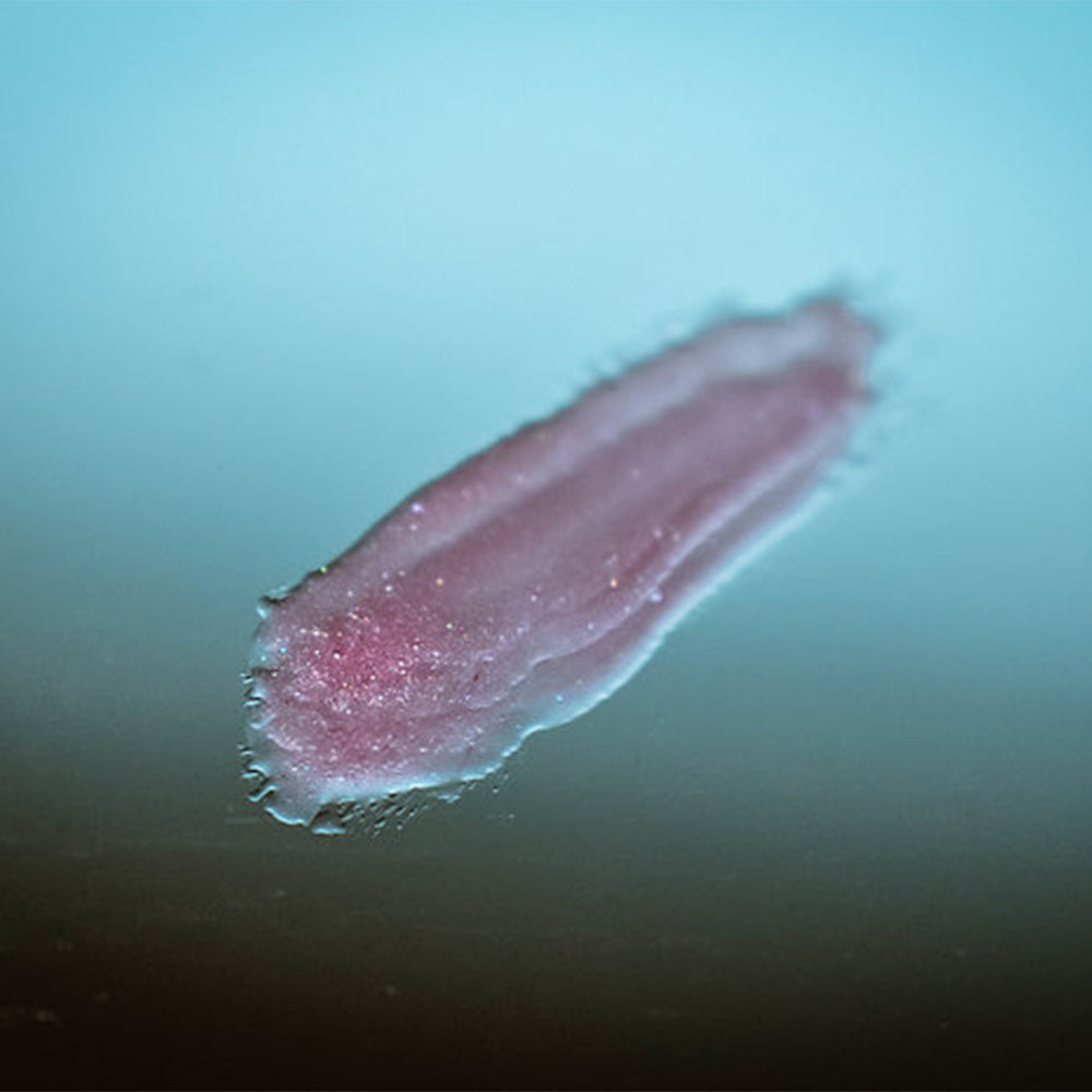 Make a Wish Lip Gloss