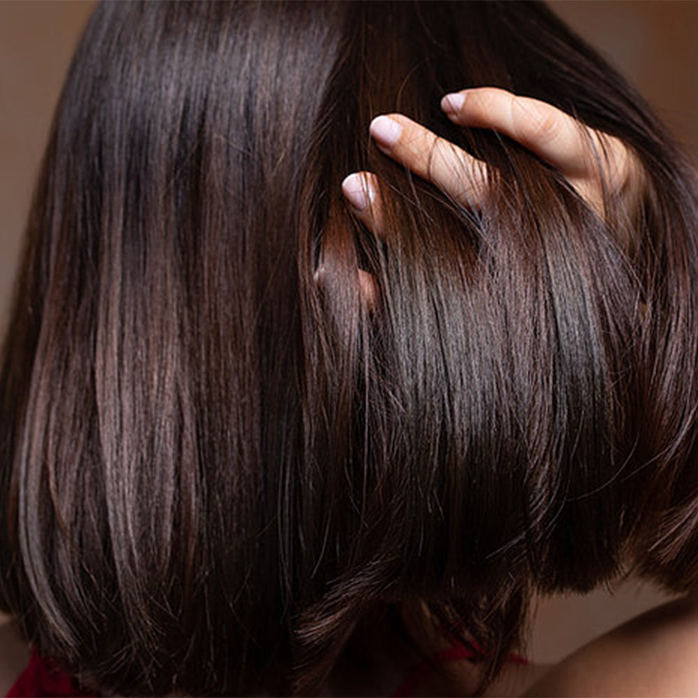 Champú de depósito de color hidratante de cacao