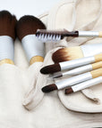 Environmentally Friendly Brush Set