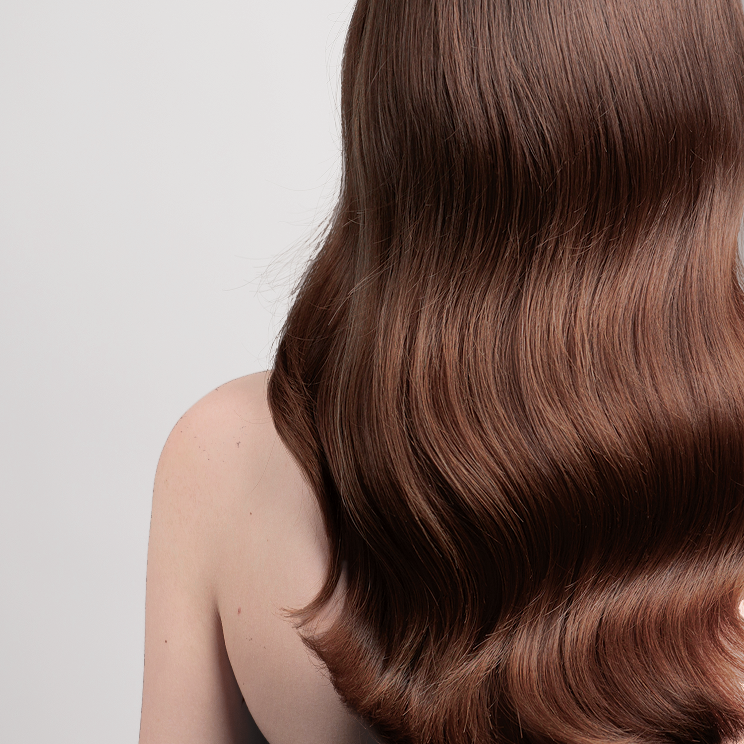 Chestnut Hydrating Color Depositing Shampoo